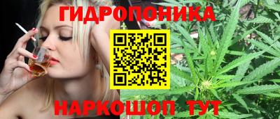 прущие крисы Кинель