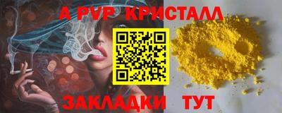 герыч Кингисепп