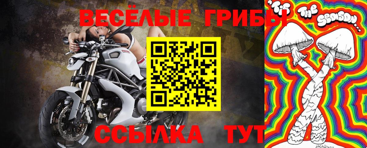 Галлюциногенные грибы MAGIC MUSHROOMS  Вход с VPN  цены   Ипатово 