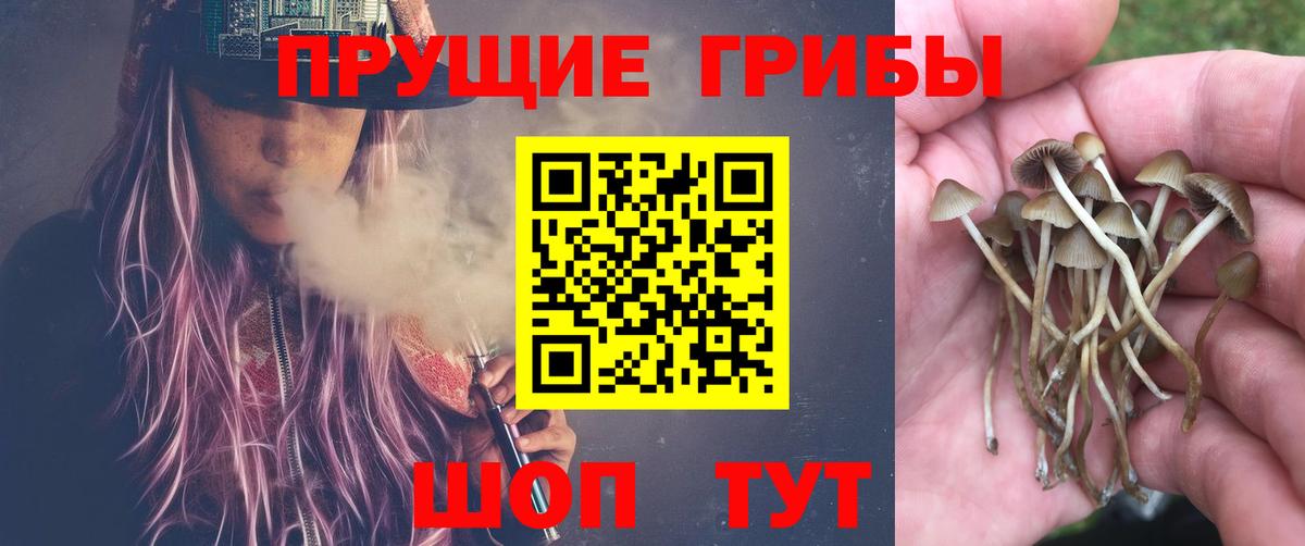 Галлюциногенные грибы Magic Shrooms Ипатово
